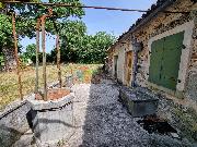   , , mala slika 5