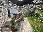   , , mala slika 6