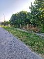   , , mala slika 5