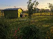   ,  mala slika 1