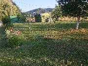   , , mala slika 2