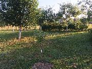   , , mala slika 4