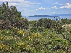 Nekretnina Kaštela, Kaštel Novi