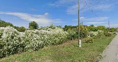 Nekretnina , 