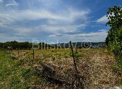 Nekretnina , 