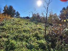 Nekretnina Zagreb, Dubrava Gornja