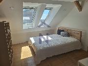   , , mala slika 10
