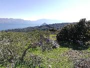   , , mala slika 2