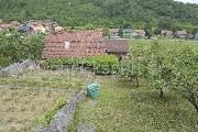   , , mala slika 21
