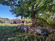   ,  mala slika 1