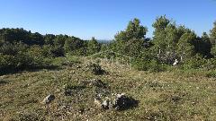 Nekretnina Šibenik - Okolica, Zlarin