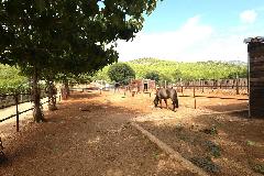 Nekretnina Šibenik - Okolica, Dubrava Kod Šibenika