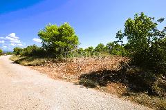 Nekretnina Vodice, Vodice