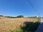   , , mala slika 2