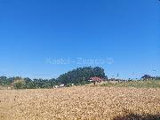   , , mala slika 6
