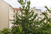   , , mala slika 16