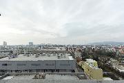   , , mala slika 13