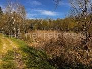   , , mala slika 6