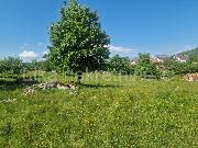   , , mala slika 3
