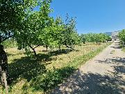   , , mala slika 4