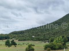 Nekretnina Rakovica, Selište Drežničko