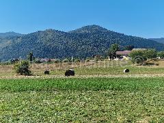 Nekretnina Otočac, Čovići