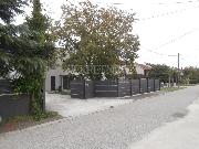   , , mala slika 8