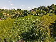   , , mala slika 8