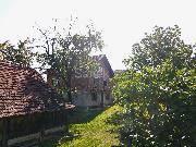   , , mala slika 3