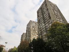 Nekretnina , 
