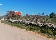   , , mala slika 19