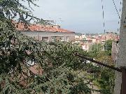   , , mala slika 6