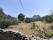   , , mala slika 6