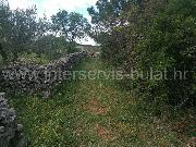   , , mala slika 7