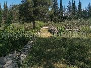   , , mala slika 7