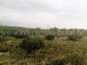   , , mala slika 3