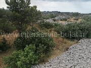   , , mala slika 11