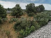  , , mala slika 2