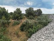   , , mala slika 6