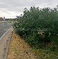   ,  mala slika 1