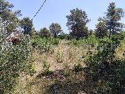   , , mala slika 3