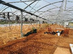 Nekretnina Šibenik - Okolica, Jadrija