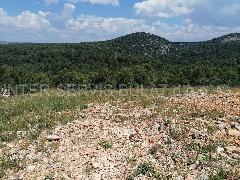 Nekretnina Šibenik - Okolica, Bilice