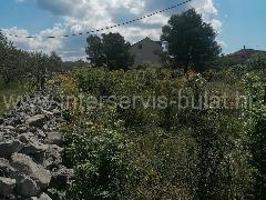 Nekretnina Šibenik - Okolica, Bilice