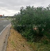 Nekretnina Šibenik - Okolica, Donje Polje