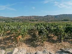 Nekretnina Šibenik, Šibenik