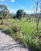 Nekretnina Drniš, Siverić