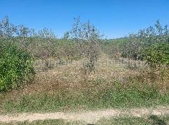 Nekretnina Skradin, Dubravice