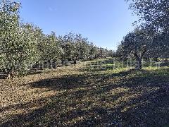 Nekretnina Skradin, Dubravice